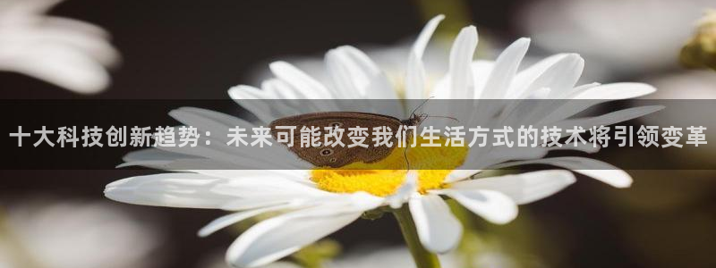 十大科技创新趋势：未来可能改变我们生活方式的技术将引领变革