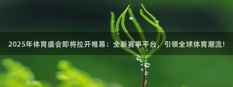 2025年体育盛会即将拉开帷幕：全新赛事平台，引领全球体育潮流!