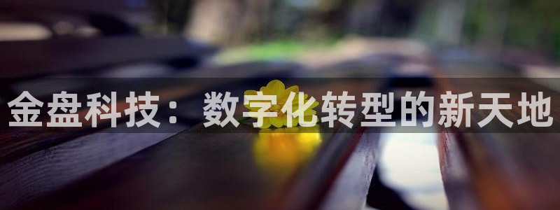 金盘科技：数字化转型的新天地