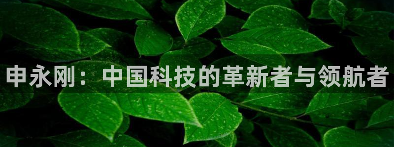 申永刚：中国科技的革新者与领航者