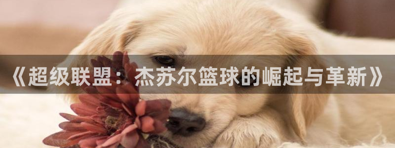 《超级联盟：杰苏尔篮球的崛起与革新》