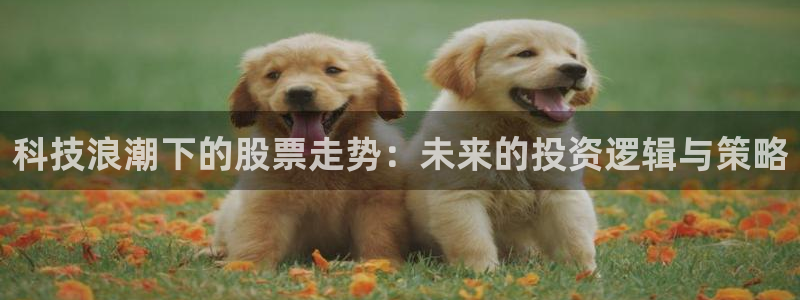 科技浪潮下的股票走势：未来的投资逻辑与策略