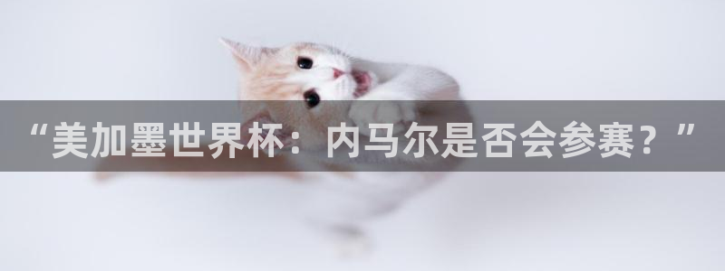 “美加墨世界杯：内马尔是否会参赛？”
